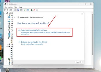 Cách sửa lỗi máy in trên Windows 10, 11: Hướng dẫn từng bước